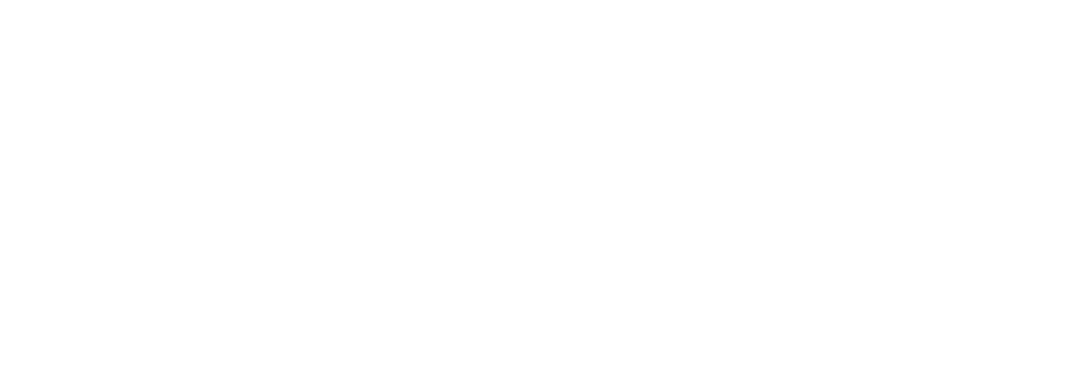 CryptoWise Logo